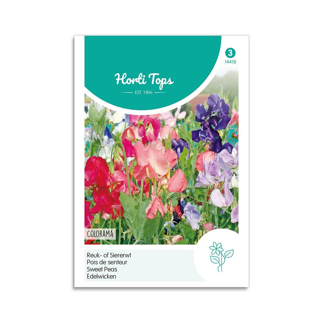 Produktbillede af Ærteblomst frø Colorama Horti Tops på tilbud i høj kvalitet