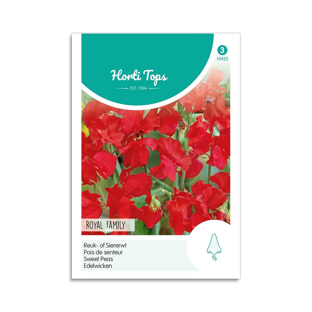 Produktbillede af Ærteblomstfrø Royal Family red Horti Tops på tilbud i høj kvalitet