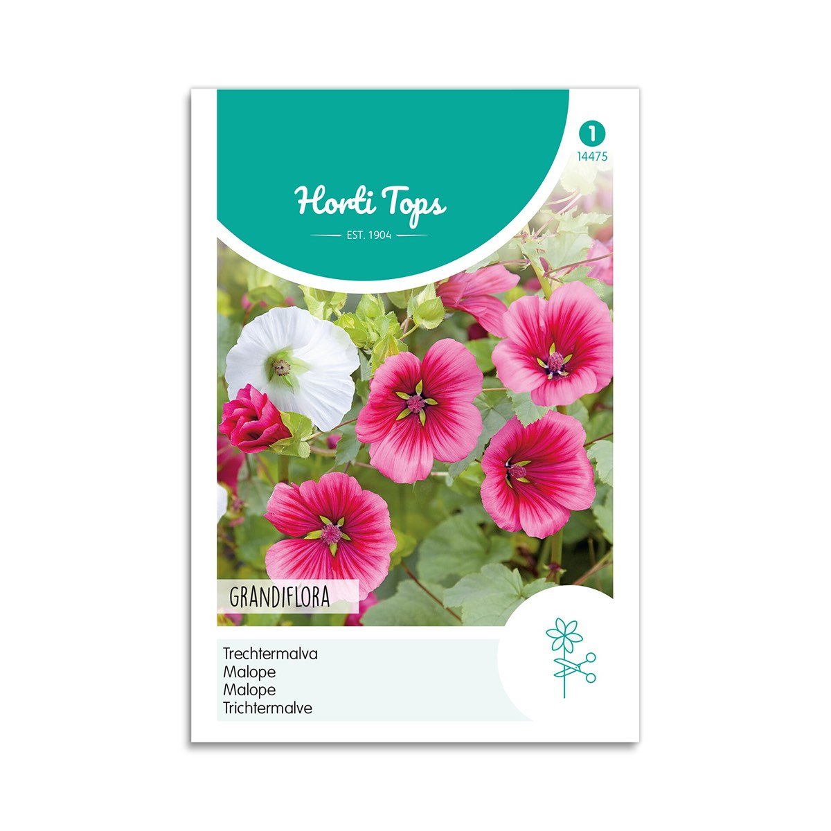 Produktbillede af Trompetkatost frø Grandiflora Horti Tops på tilbud i høj kvalitet