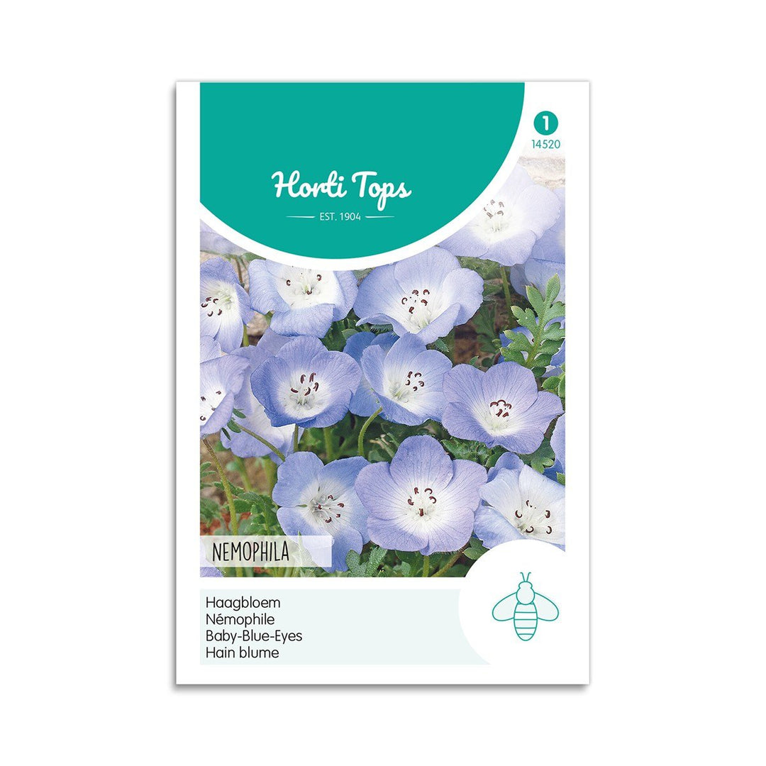 Produktbillede af Øjeblomst frø Baby Blue Eyes Horti Tops på tilbud i høj kvalitet