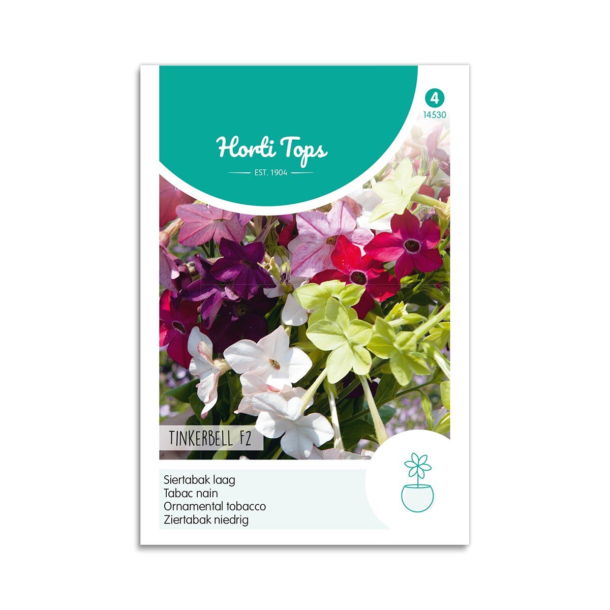 Produktbillede af Prydtobak frø Tinkerbell F2 Horti Tops på tilbud i høj kvalitet