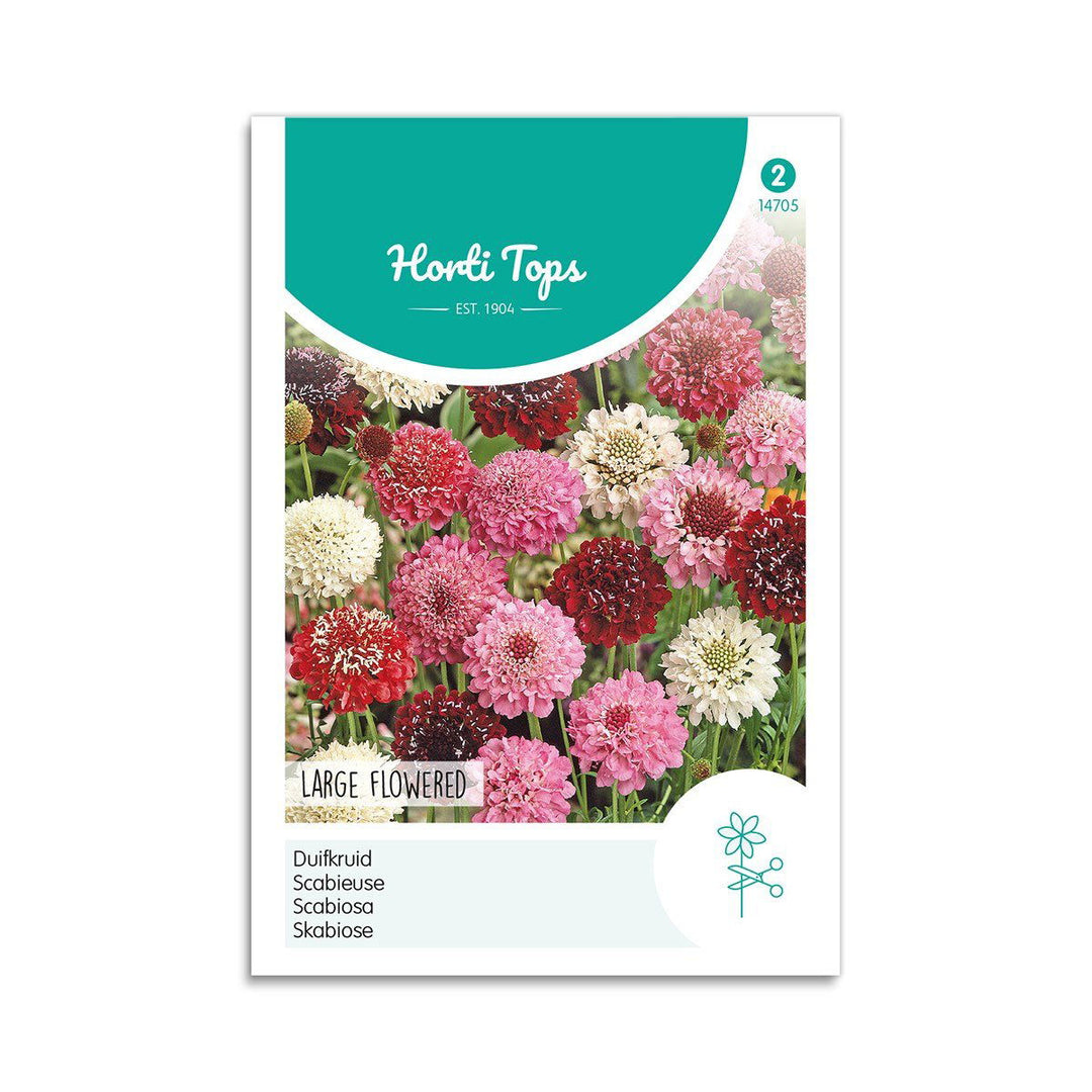Produktbillede af Enkeblomst frø Large Flowered  på tilbud i høj kvalitet