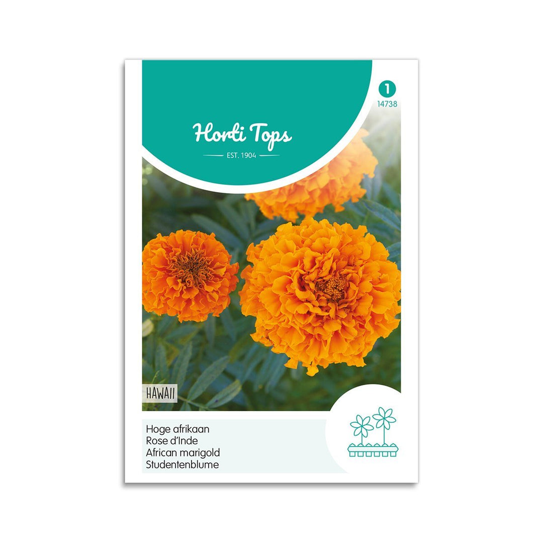 Produktbillede af Tagetes frø Hawaii  på tilbud i høj kvalitet
