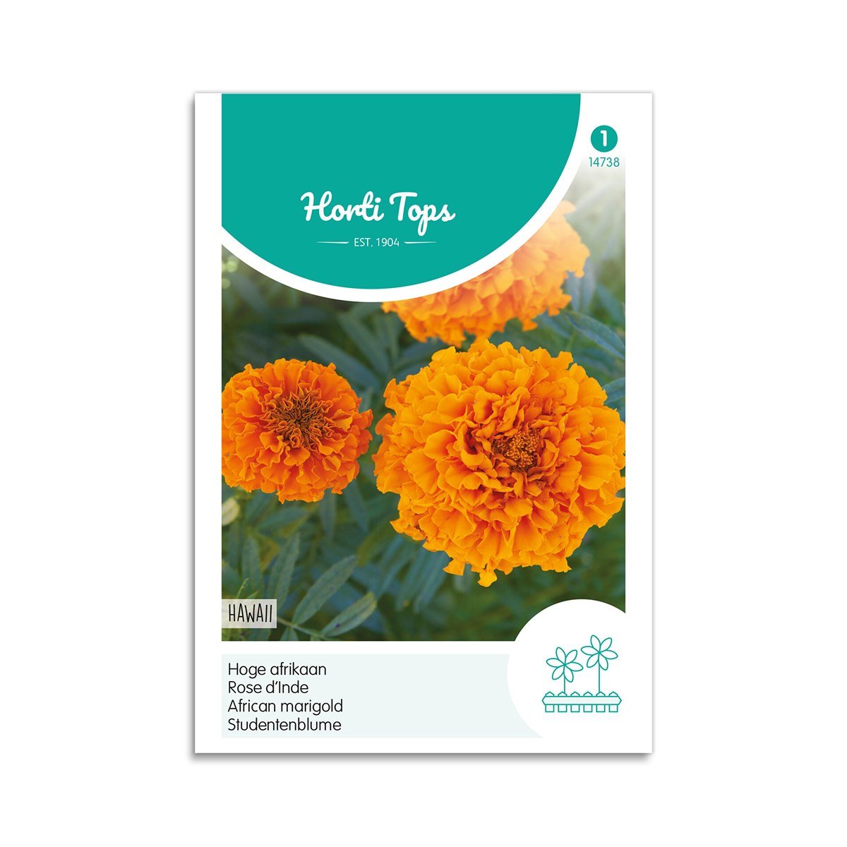 Produktbillede af Tagetes frø Hawaii  på tilbud i høj kvalitet