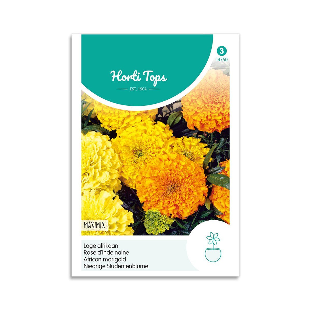 Produktbillede af Tagetes frø Maximix  på tilbud i høj kvalitet