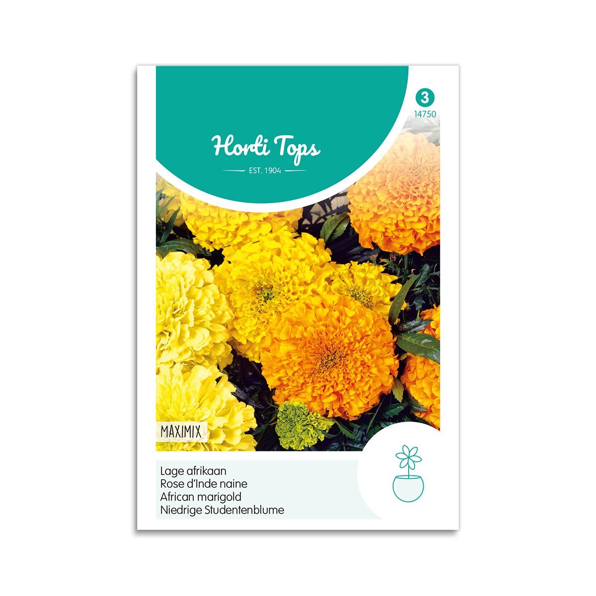 Produktbillede af Tagetes frø Maximix  på tilbud i høj kvalitet