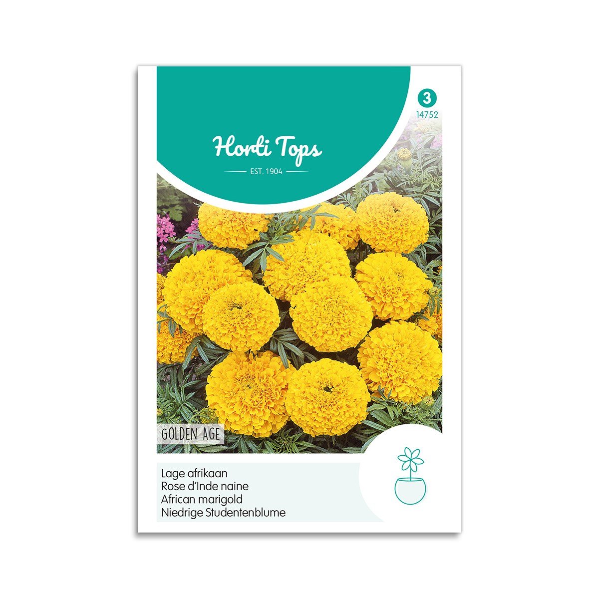 Produktbillede af Tagetes frø Golden Age  på tilbud i høj kvalitet