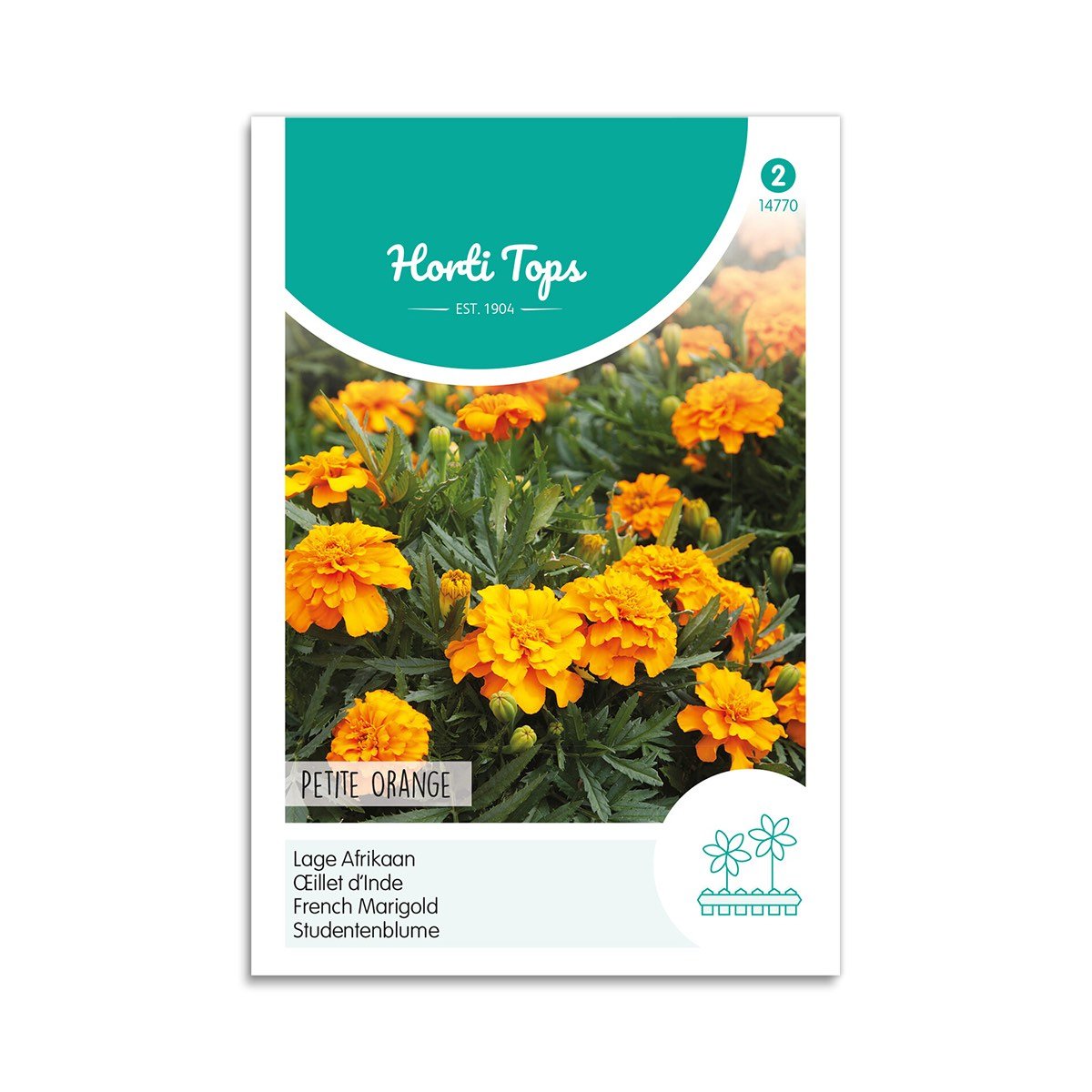 Produktbillede af Tagetes frø Petite Orange  på tilbud i høj kvalitet