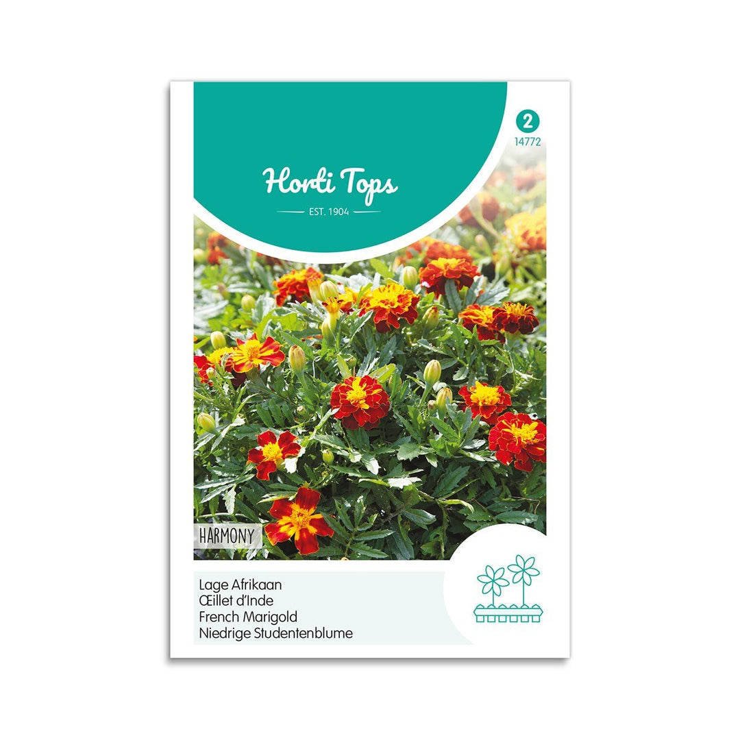 Produktbillede af Tagetes frø Harmony  på tilbud i høj kvalitet