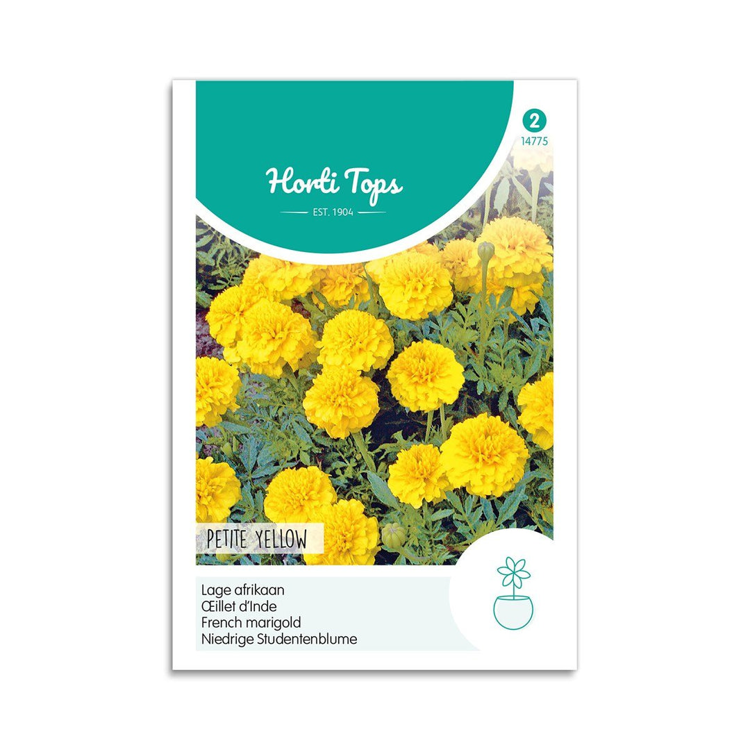 Produktbillede af Tagetes frø Petite Yellow  på tilbud i høj kvalitet