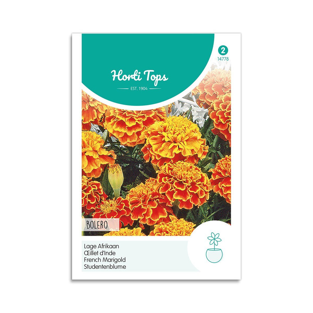 Produktbillede af Tagetes frø Bolero  på tilbud i høj kvalitet