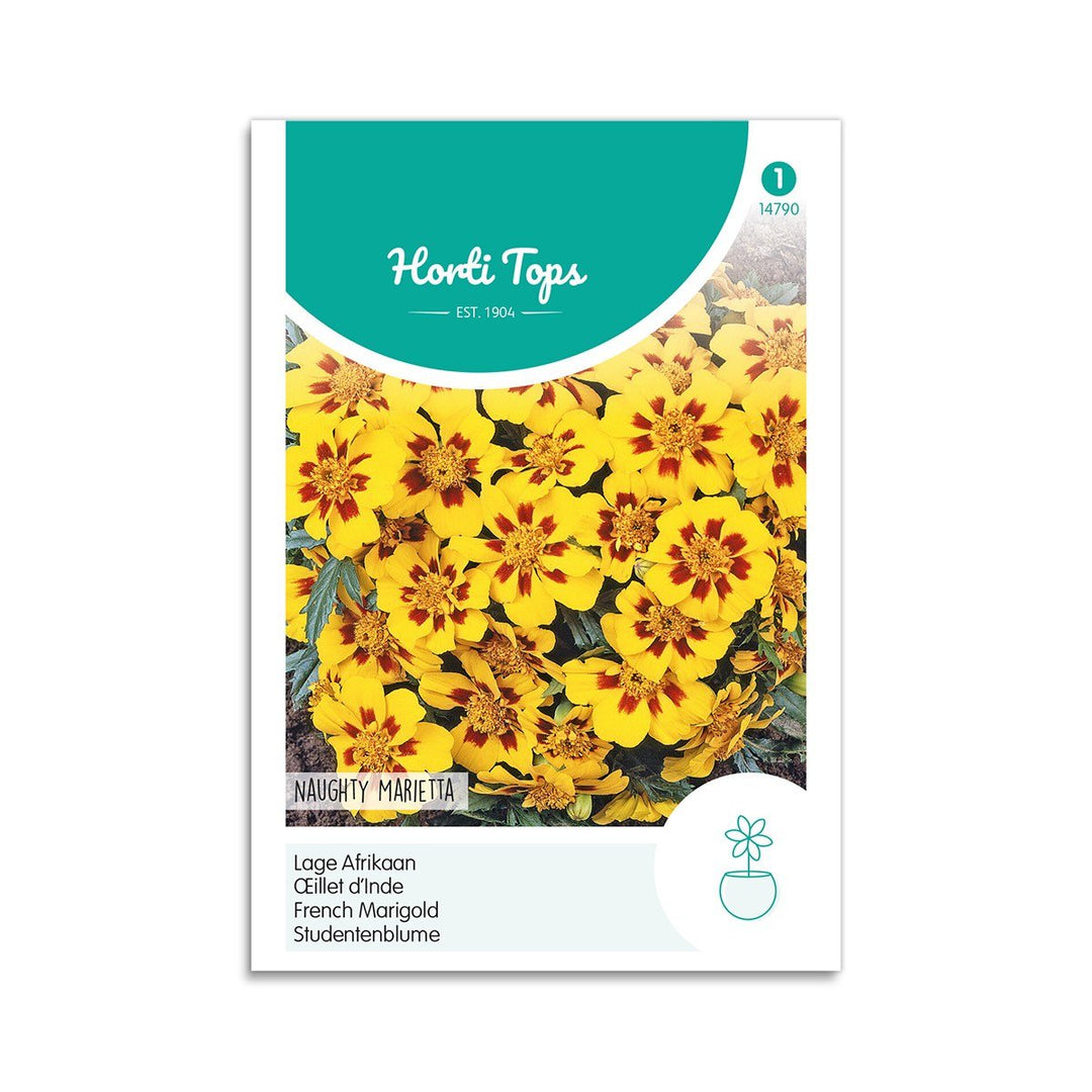 Produktbillede af Tagetes frø Naughty Marietta  på tilbud i høj kvalitet