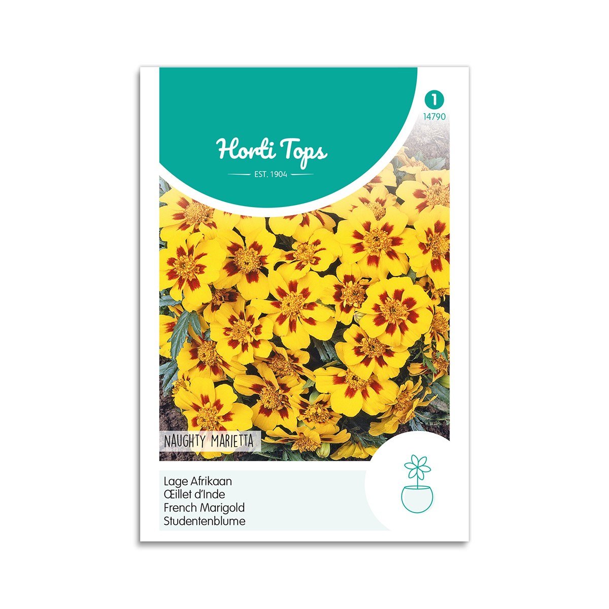 Produktbillede af Tagetes frø Naughty Marietta  på tilbud i høj kvalitet
