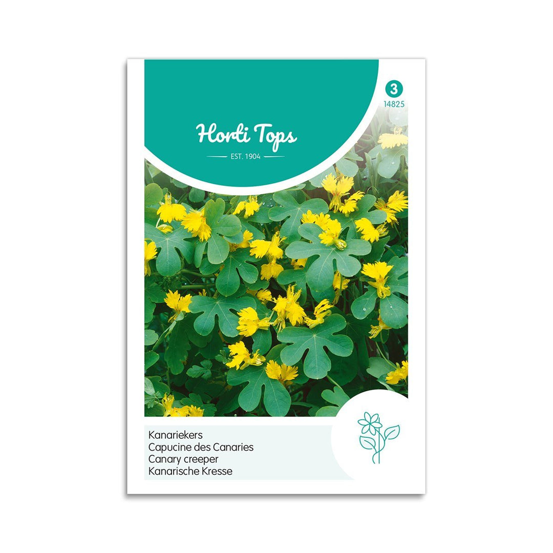 Produktbillede af Sommerfuglekarse frø på tilbud i høj kvalitet