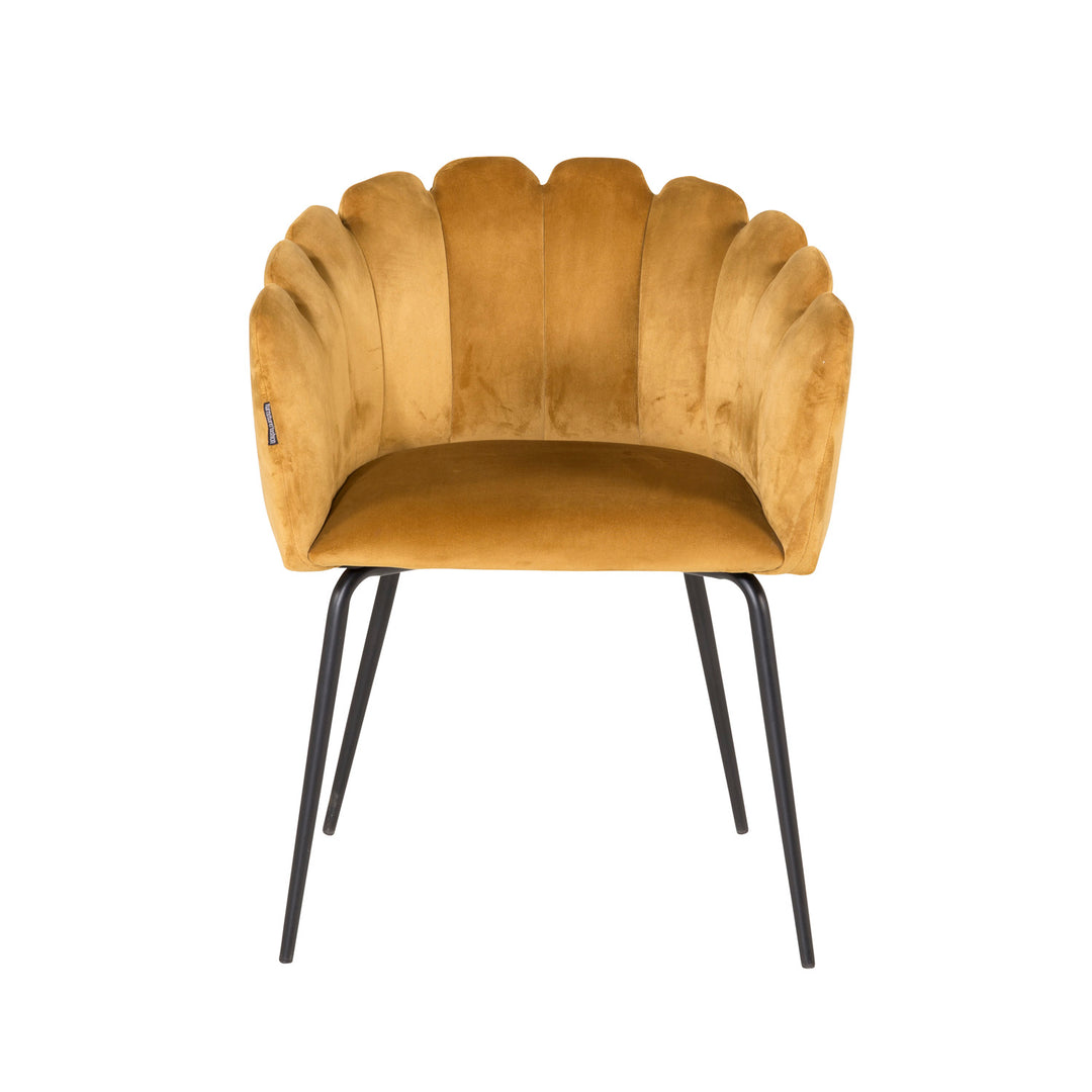 VENTURE DESIGN Limhamn spisebordsstol m. armlæn gul velour og sort metal
