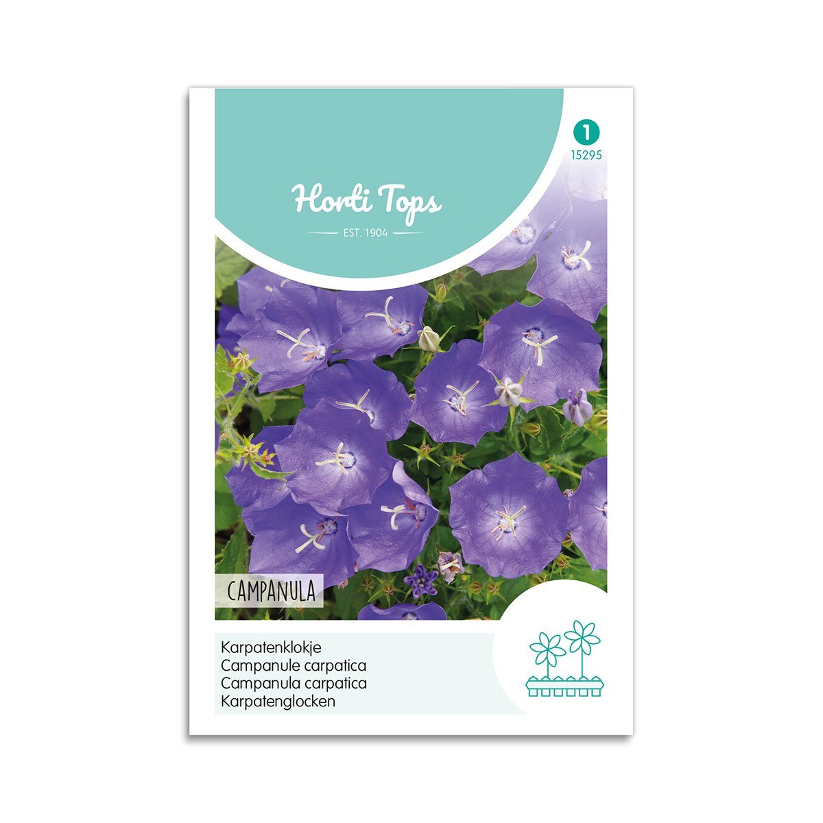 Produktbillede af Karpaterklokke frø Campanula  på tilbud i høj kvalitet