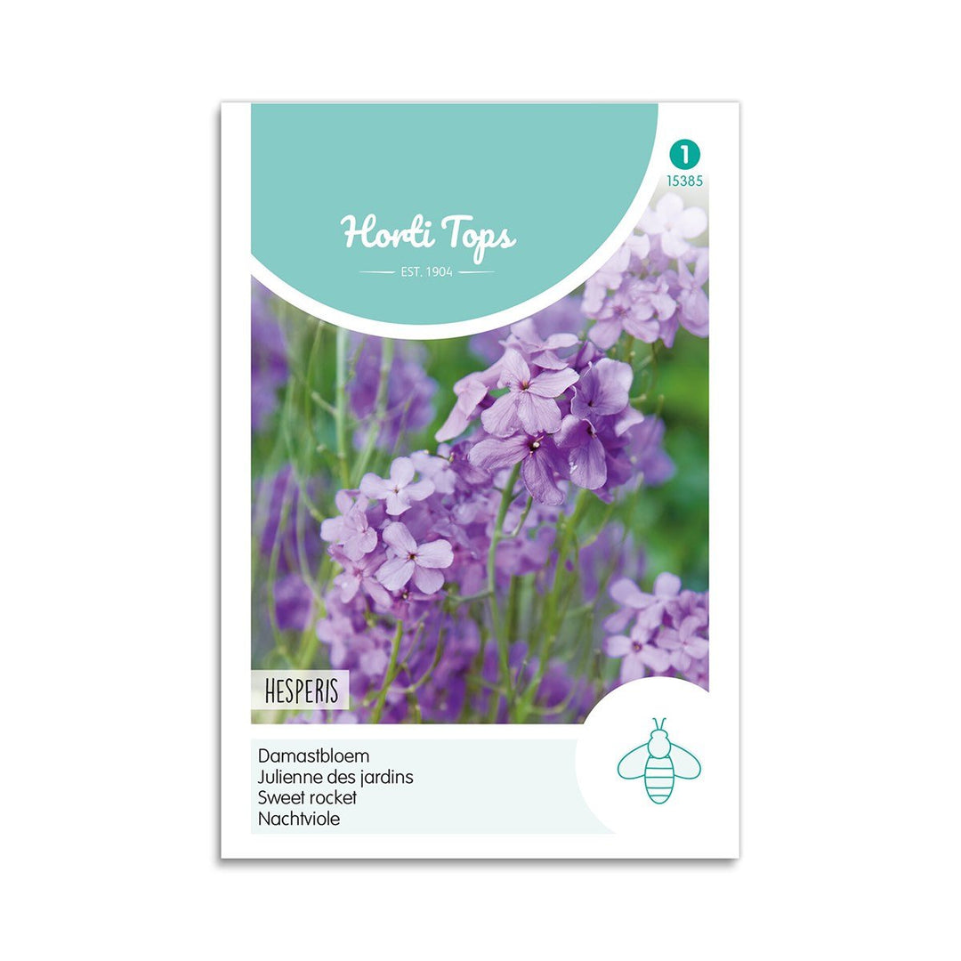 Produktbillede af Natviol frø Hesperis  på tilbud i høj kvalitet
