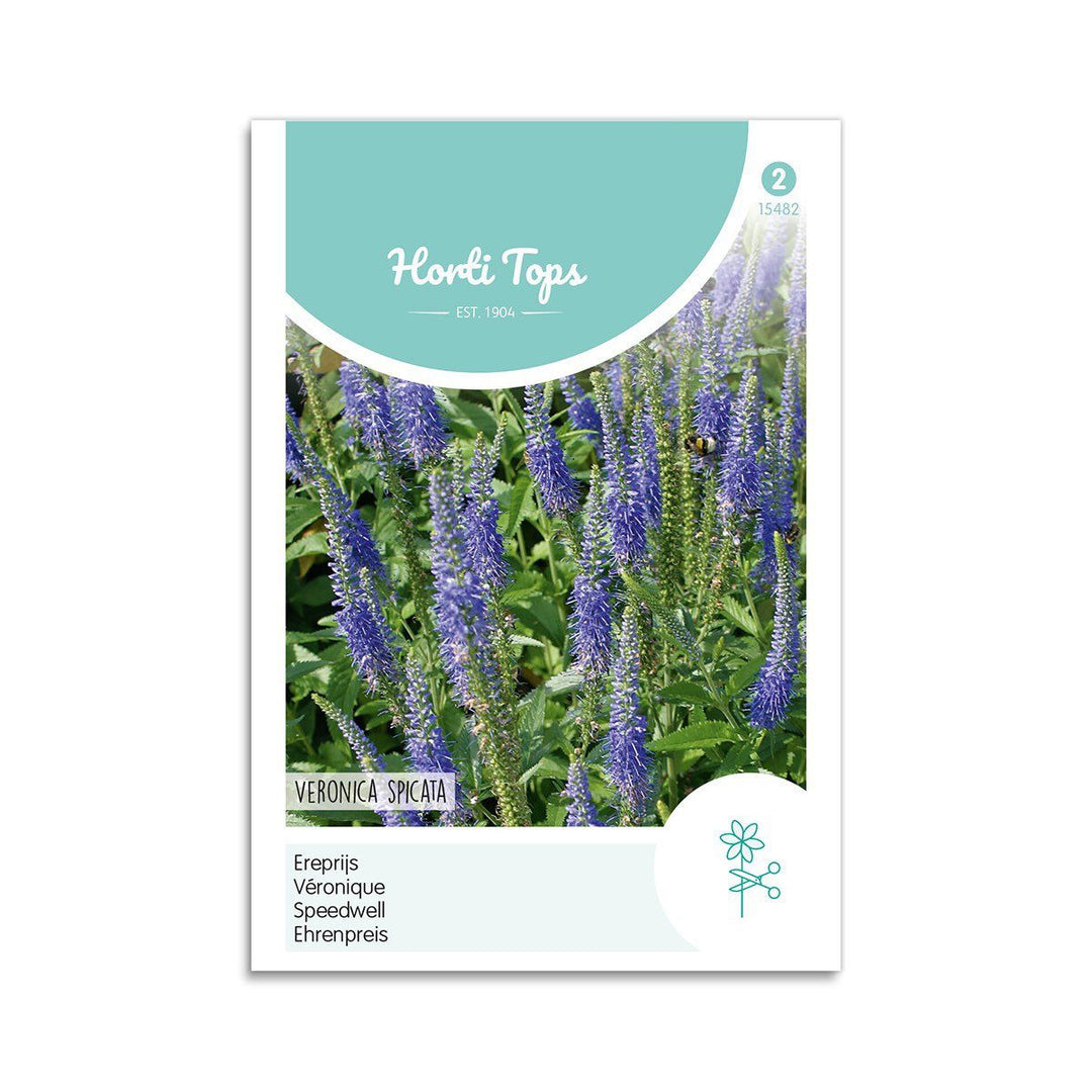 Produktbillede af Ærenpris frø Blue  på tilbud i høj kvalitet