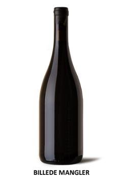 St. Antony Riesling Bodenschatz Øko 2022 75 Cl ✔ Kæmpe udvalg i Weingut St. Antony ✔ Billig fragt og hurtig levering 2 - 5 hverdage - Varenummer: BAR-698965 / Ean: på lager - Udsalg på Drikkevarer - Vin og champagne - Hvidvin Spar op til 66% - Over 350 kendte brands på udsalg