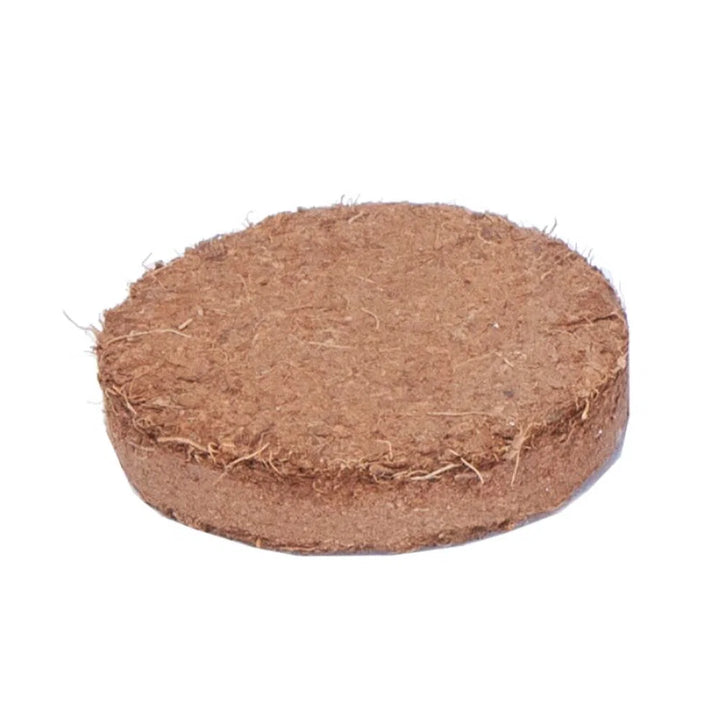 Kokosbriketter til forspiring 16 stk.