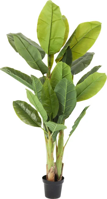 KARE DESIGN Banana Tree kunstig plante grøn ethylenvinylacetat og polyethylen H:180cm