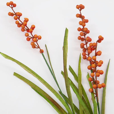 HouDoctor - Blomst, Buckthorn, Orange ❤ Stort online udvalg i HouDoctor ❤ Billig fragt og hurtig levering 2 - 5 hverdage ❤ Varenummer: BGH-42109574545660 / Ean: '5707644780842 på lager - Udsalg på Alle produkter Spar op til 66% - Over 785 kendte brands på udsalg