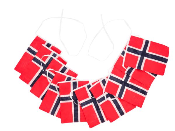 Produktbillede af Celebrate Flagranke NO 5,4 meter Rød/Hvid/Blå Polyester i premium kvalitet