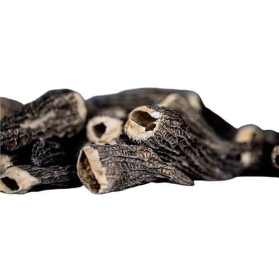 Svampe Morkler U/stok Tørret Ps 200 G ❤ Kæmpe udvalg i GOURMETE ❤ Billig fragt og hurtig levering 2 - 5 hverdage - Varenummer: BAR-675972 / Ean: '5711779960376 på lager - Udsalg på Delikatesser Tapas Tørret Grønt Spar op til 65% - Over 324 kendte brands på udsalg