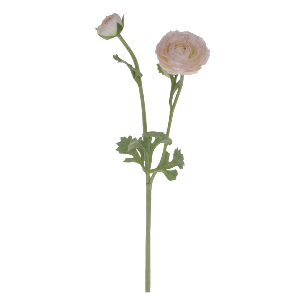 Produktbillede af FLEUR Ranunkel antik hvid på tilbud i høj kvalitet