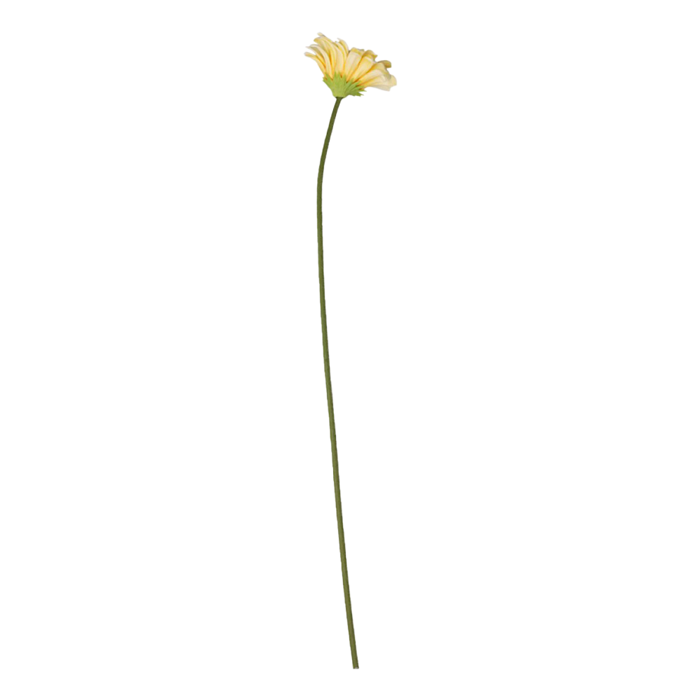 Produktbillede af FLEUR Gerbera melon på tilbud i høj kvalitet