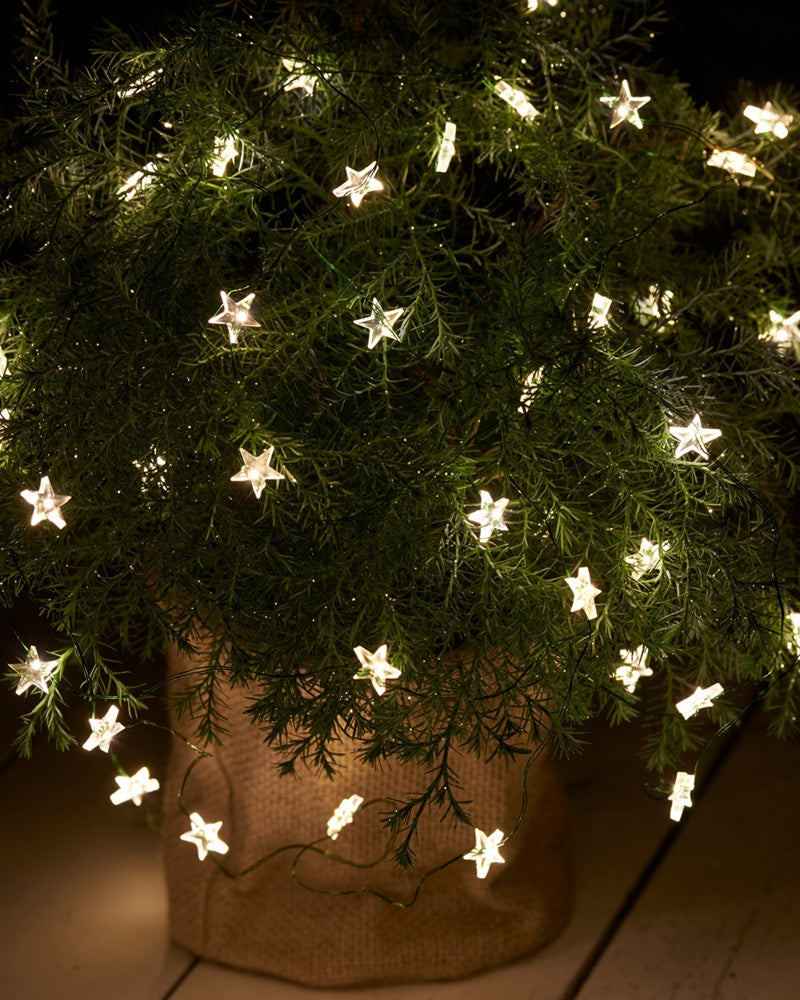 Produktbillede af Sirius Trille Stjerne lyskæde 125 lys Klar/Grøn i premium kvalitet