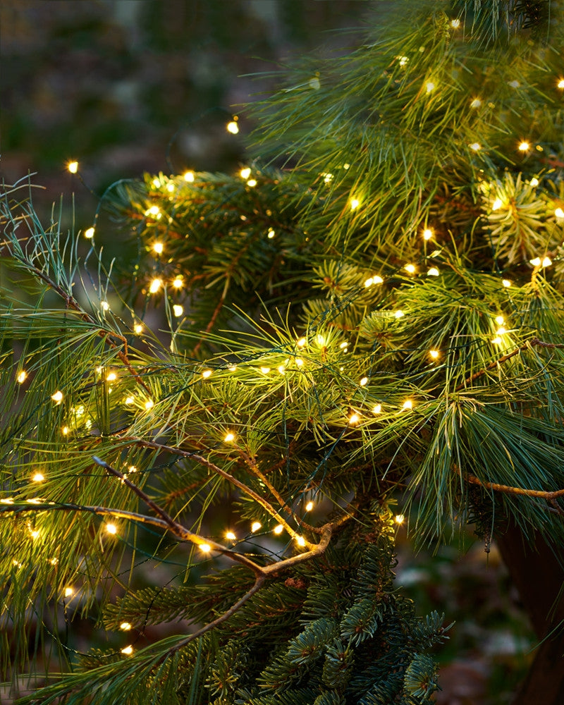 Produktbillede af Sirius Knirke 200 lys Klar/Grøn i premium kvalitet