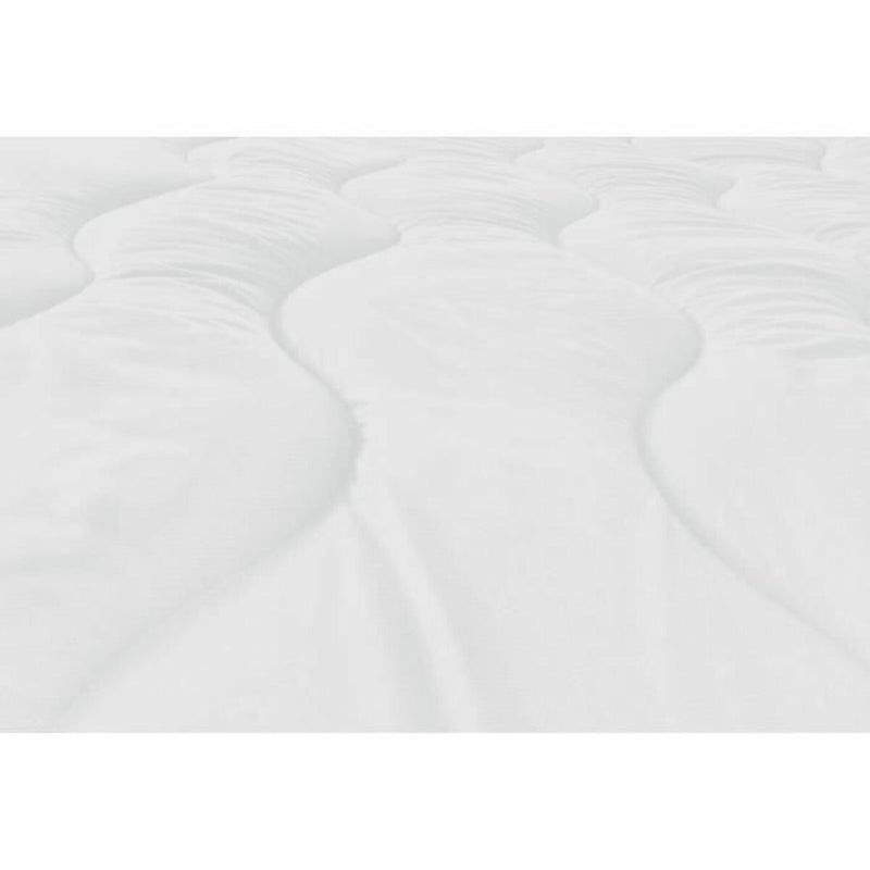 V8HED479DC99B1E670A2CFFFF6EBFB6170AR7106344P4