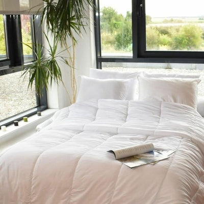 V3H9E92CC75CAE8A5D447D53C47BAC4C227R7406498P3