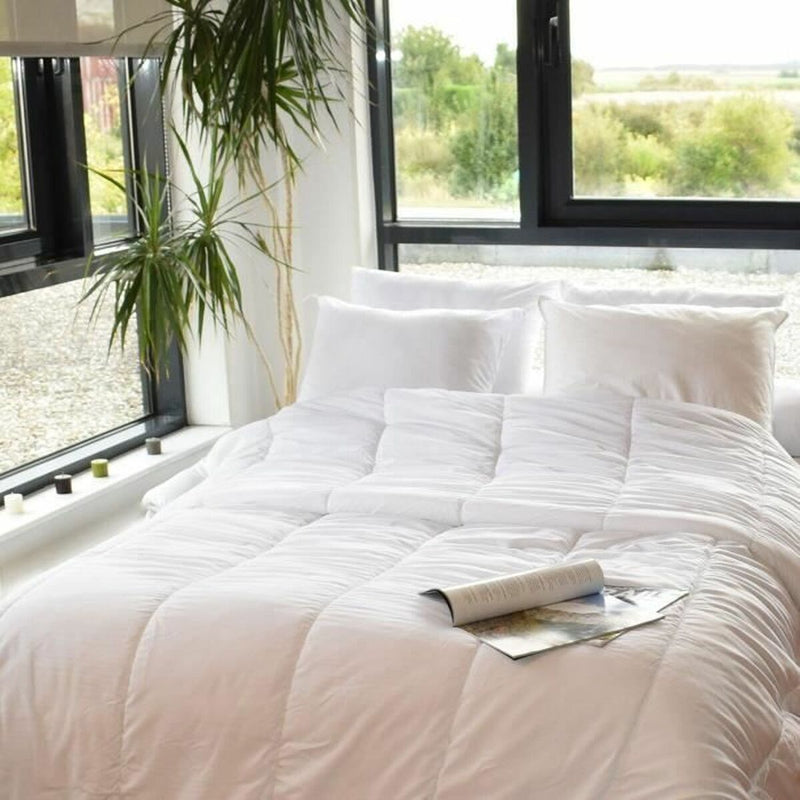 V3H9E92CC75CAE8A5D447D53C47BAC4C227R7406498P3