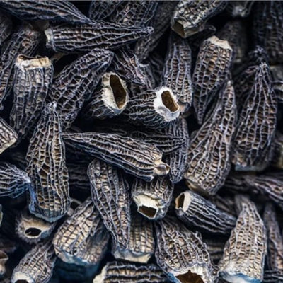 Morkler Tørrede Giga 8 Cm Gourmetengros 200g ✔ Kæmpe udvalg i Gourmetengros ✔ Billig fragt og hurtig levering 2 - 5 hverdage - Varenummer: BAR-671263 / Ean: '05715018000274 på lager - Udsalg på Delikatesser - Tapas Spar op til 61% - Over 324 kendte brands på udsalg