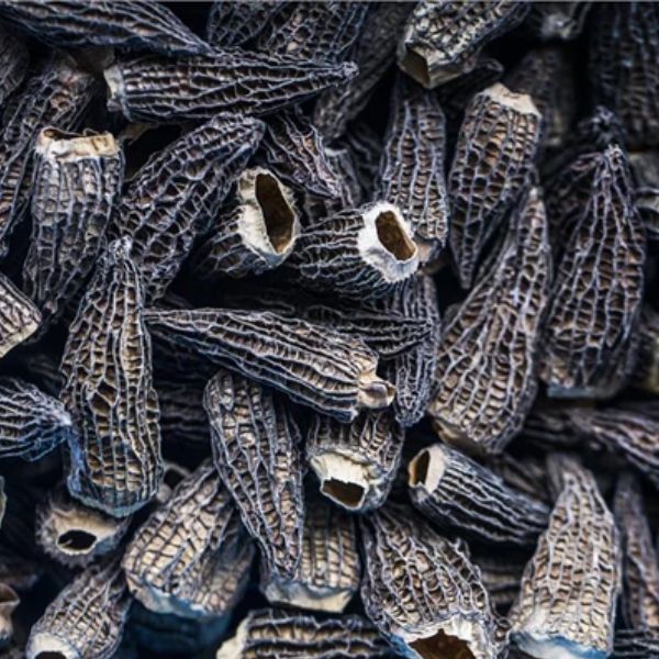Produktbillede af Morkler Tørret Giga 8 Cm Gourmet Engroshandel 200g på tilbud i premium kvalitet