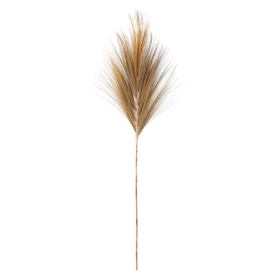 Bloomingville - Maluca Deko Blomst, Natur, Sukkerør H124 cm ❤ Stort online udvalg i Bloomingville ❤ Billig fragt og hurtig levering 2 - 5 hverdage ❤ Varenummer: BGH-47101214720330 / Ean: '5711173266487 på lager - Udsalg på Alle produkter Spar op til 58% - Over 360 kendte mærker på udsalg
