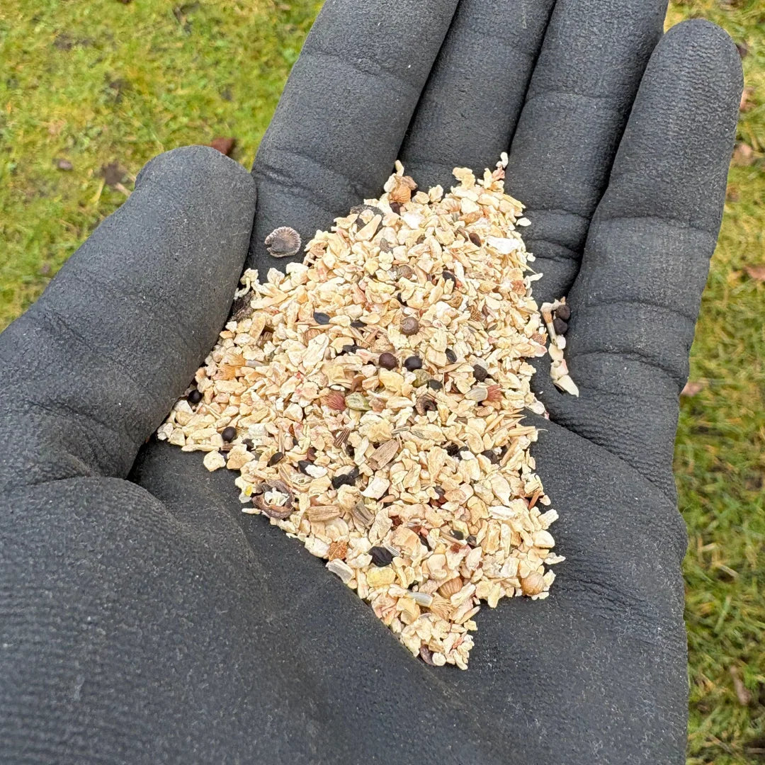 Nordic Gardens blomsterblanding Spiselige Blomster 8 m2