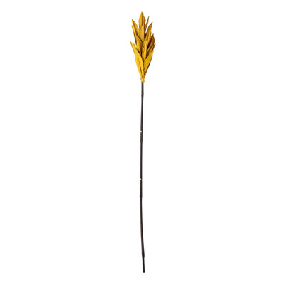 Bloomingville - OliDeko Blomst, Natur, Palm Leaf H93 cm ❤ Stort online udvalg i Bloomingville ❤ Billig fragt og hurtig levering 2 - 5 hverdage ❤ Varenummer: BGH-47101215473994 / Ean: '5711173266524 på lager - Udsalg på Alle produkter Spar op til 53% - Over 360 kendte mærker på udsalg