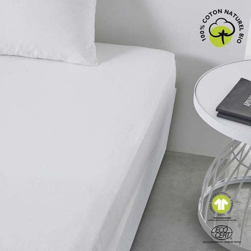 V4H6A07D30EE8438070809893ED7D082334R7343699P2