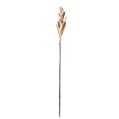 Bloomingville - Natelie Deko Blomst, Natur, Palm Leaf H93 cm ❤ Stort online udvalg i Bloomingville ❤ Billig fragt og hurtig levering 2 - 5 hverdage ❤ Varenummer: BGH-47101214753098 / Ean: '5711173266494 på lager - Udsalg på Alle produkter Spar op til 57% - Over 360 kendte mærker på udsalg