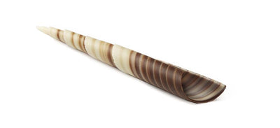 Chokoladepynt Turitella 117-stk Æsk (350 G) ❤ Stort online udvalg i OdenMarcipan ❤ Billig fragt og hurtig levering 2 - 5 hverdage - Varenummer: BAR-725195 / Ean: '5709521026203 på lager - Udsalg på Delikatesser | Sødt | Chokolade Spar op til 55% - Over 434 design brands på udsalg