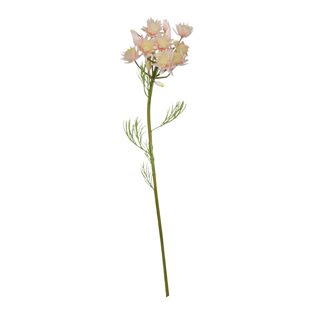 Produktbillede af FLEUR Grøftekantsblomst rosa på tilbud i høj kvalitet