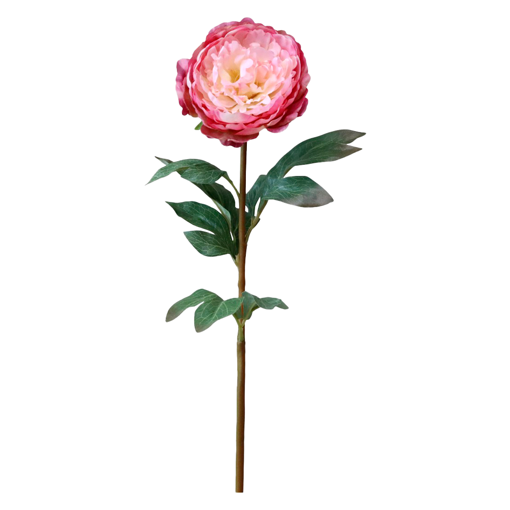 Produktbillede af FLEUR Pæon rosa på tilbud i høj kvalitet