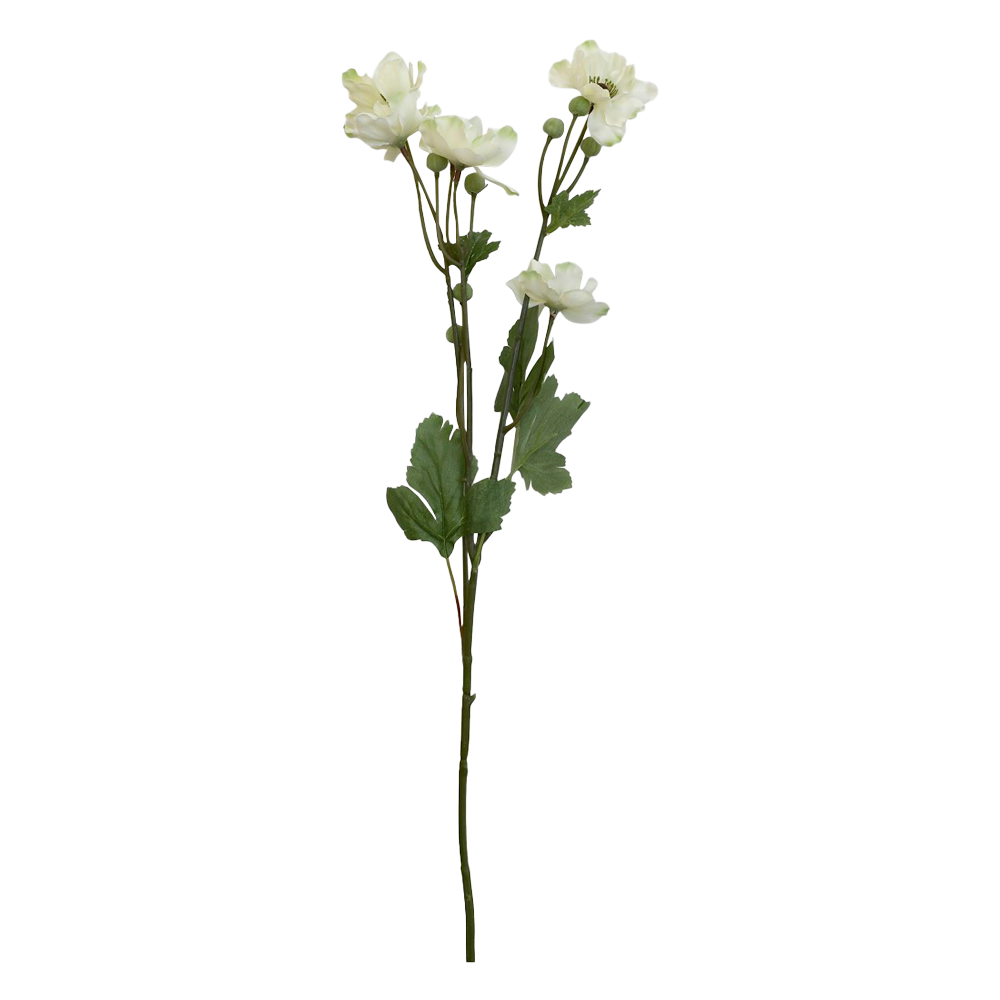 Produktbillede af FLEUR Fransk anemone creme på tilbud i høj kvalitet