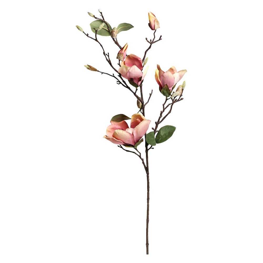 Produktbillede af FLEUR Magnolia gammel rosa på tilbud i høj kvalitet