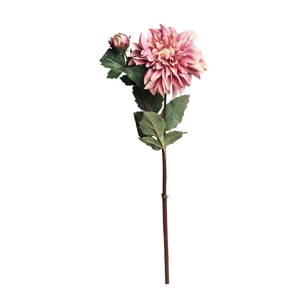 Produktbillede af FLEUR Dahlia gammel rosa på tilbud i høj kvalitet