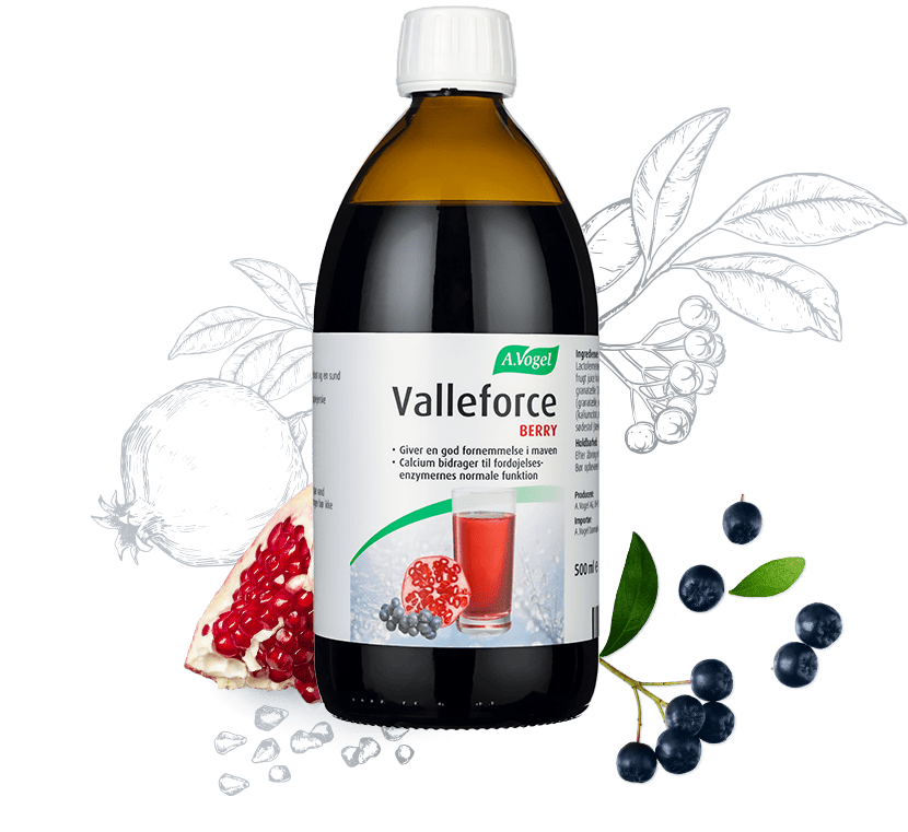 Se Valleforce Original Berry 500 ml. DATOVARE 10/2023 ❤ Kæmpe udvalg i Blandet ❤ Hurtig levering: 1 - 2 Hverdage samt billig fragt - Varenummer: HG-4061-1 og barcode / Ean: '7610313415977 på lager - Udsalg på Sundhed Spar op til 62% - Over 454 kendte mærker på udsalg