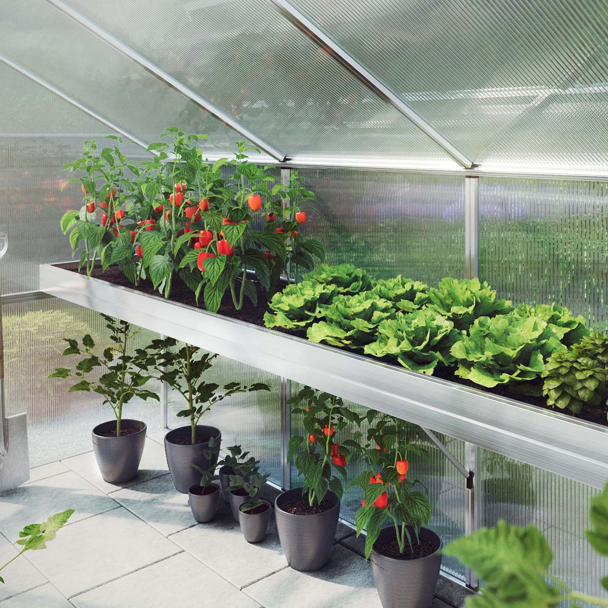 Produktbillede af Plantebakke Rose II på tilbud i høj kvalitet